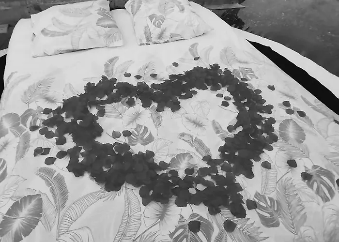 La Bulle Armou * Saint-Armou